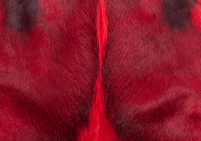 PIEKFYN - Dance to the beat of your own drum