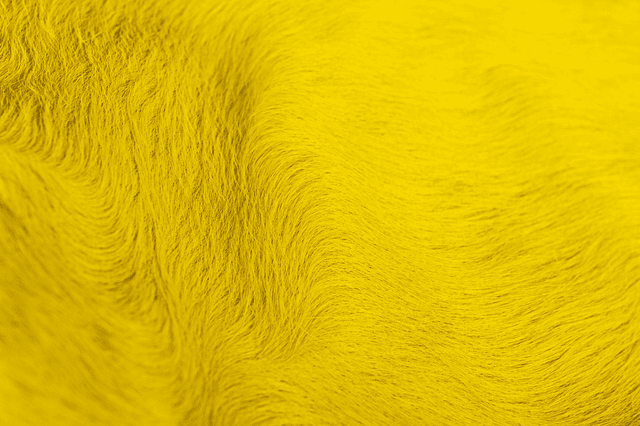 PIEKFYN - Dance to the beat of your own drum